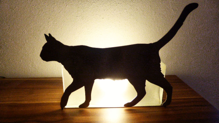 Katze